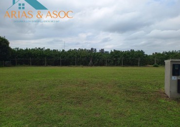 VENTA LOTE EN COUNTRY PINAR II